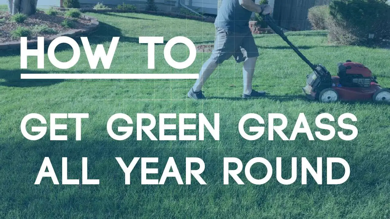 How To Fix An Ugly Lawn