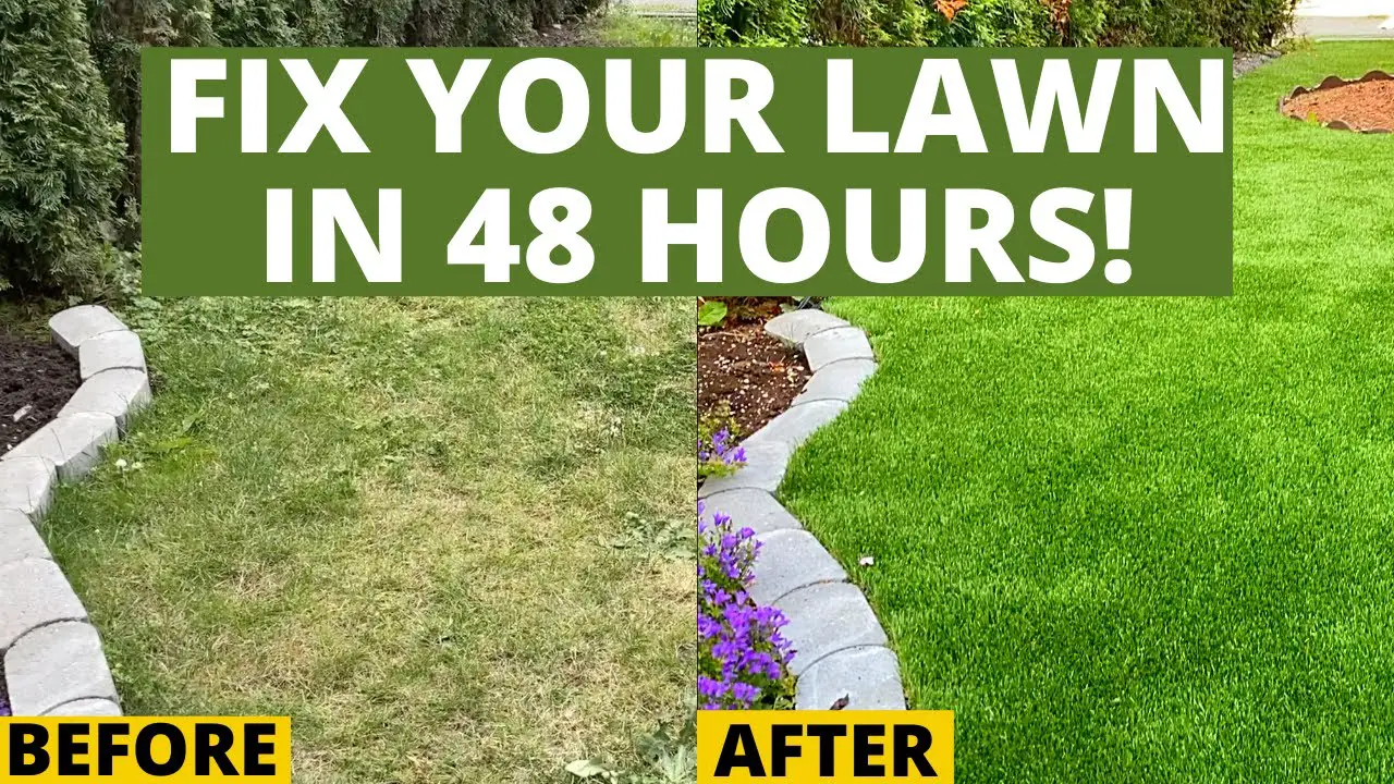 How to Fix An Ugly Lawn with Artificial Turf