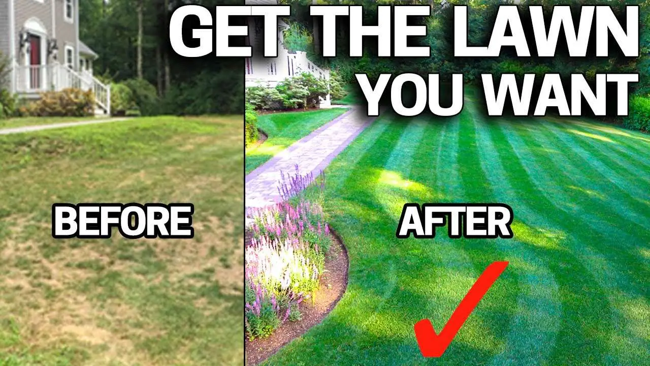 How to FIX an UGLY Lawn with RESULTS