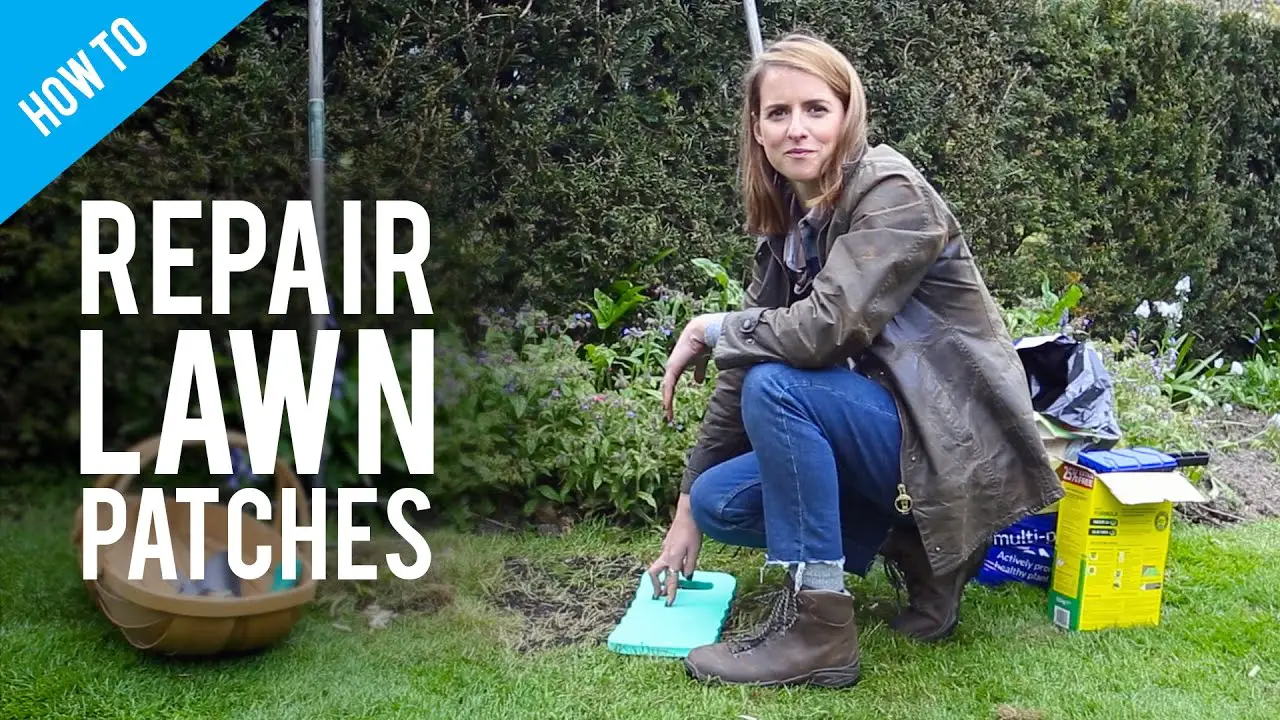 How to fix brown patches in your lawn