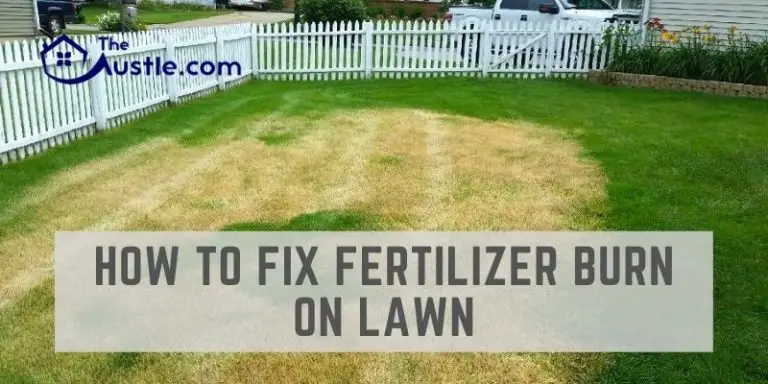 How to Fix Fertilizer Burn on Lawn
