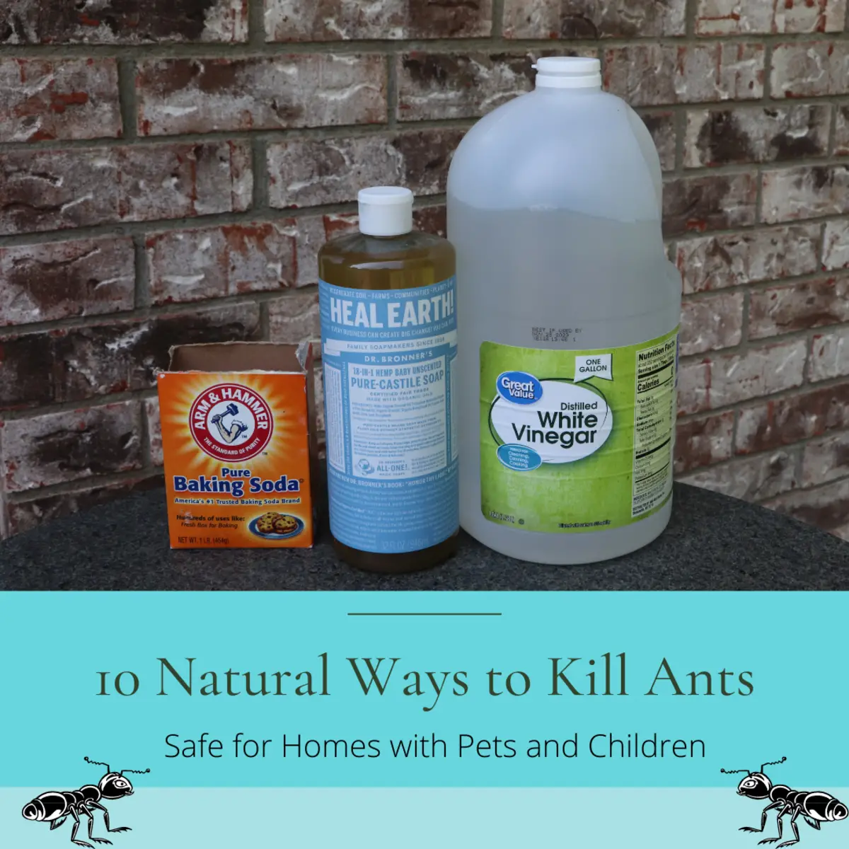 How to Get Rid of Ants Without Toxic Chemicals