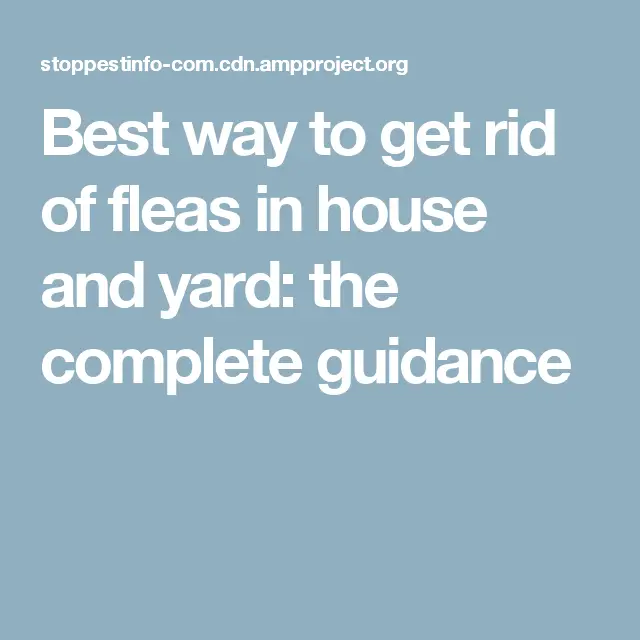 How to Get Rid of Fleas in House and Yard Fast