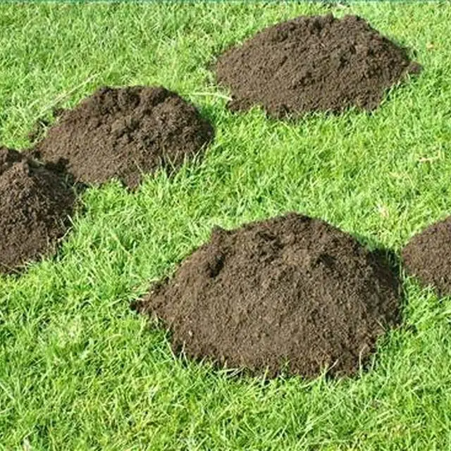 How to Get Rid of Moles Humanely