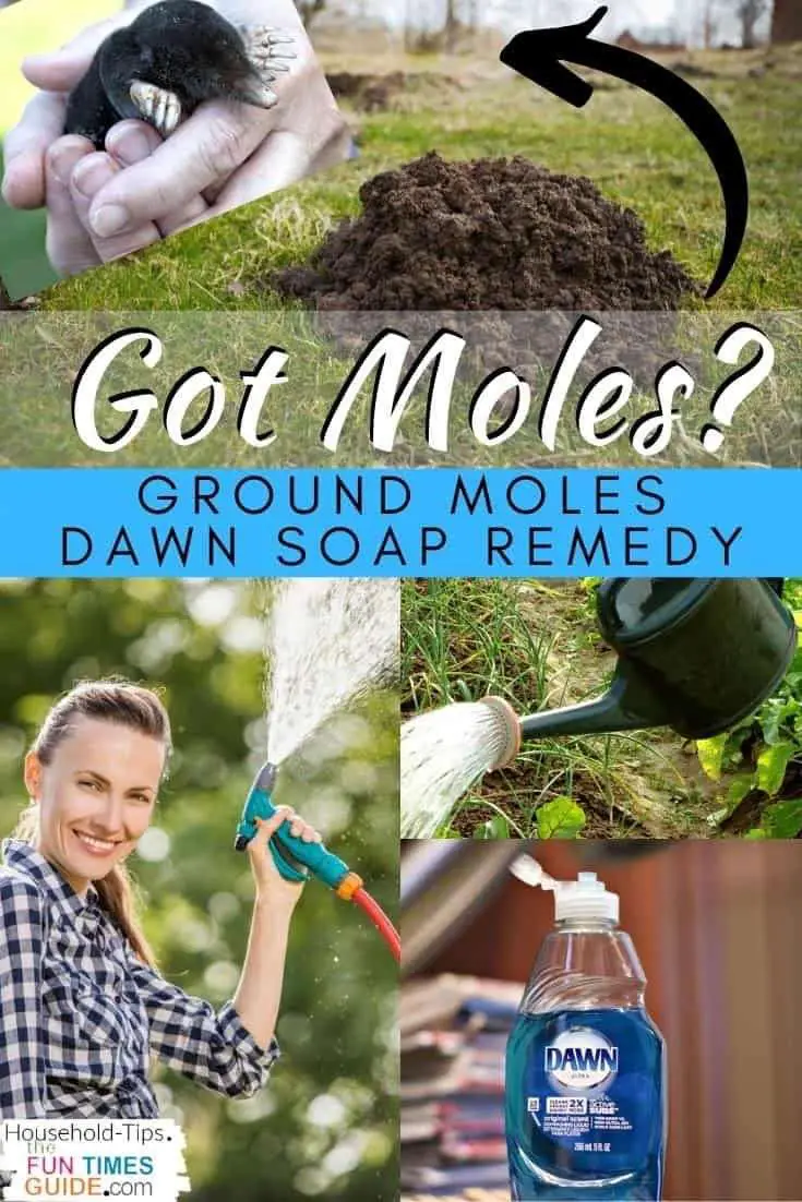How To Get Rid Of Moles In Your Yard: The Ultimate Guide To Ground Mole ...