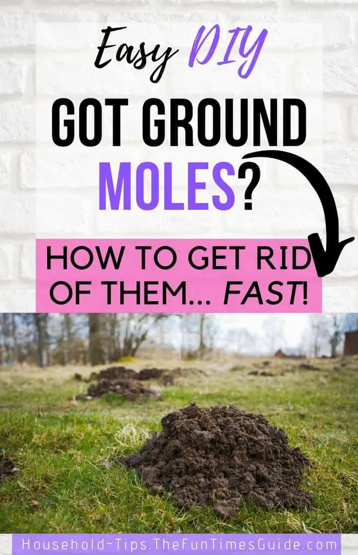 How To Get Rid Of Moles In Your Yard: The Ultimate Guide To Ground Mole ...