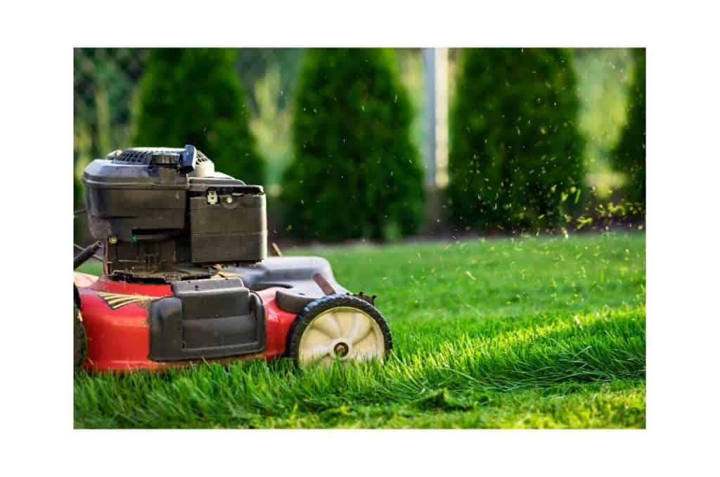 How to Get Rid of Old Lawn Mower?