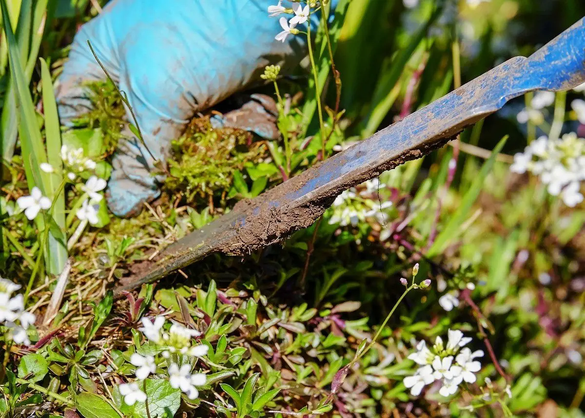 How to Get Rid of Weeds Once and For All » The Money Pit