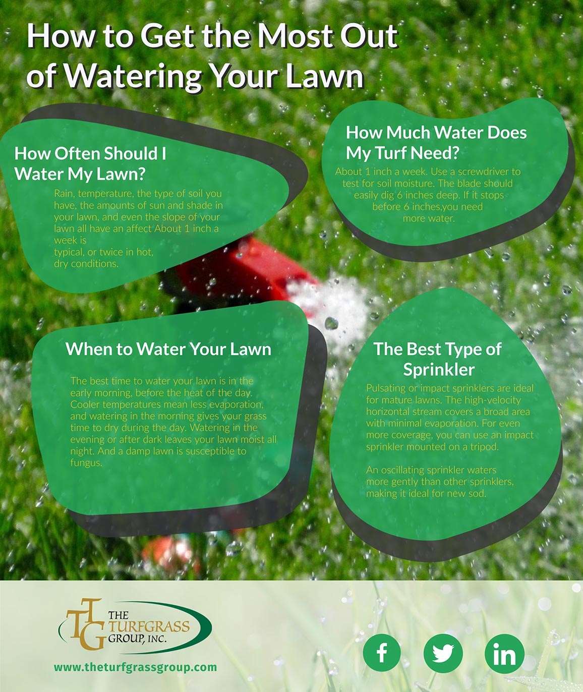How to Get the Most Out of Watering Your Lawn