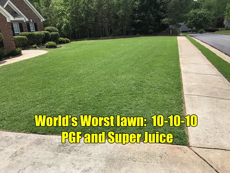 How to Get Thick Green Lawn Spring Lawn Care