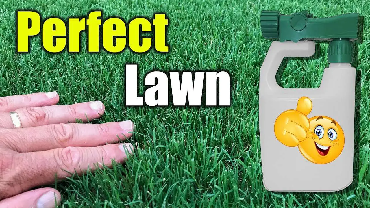 How to get thick green lush lawn quickly.