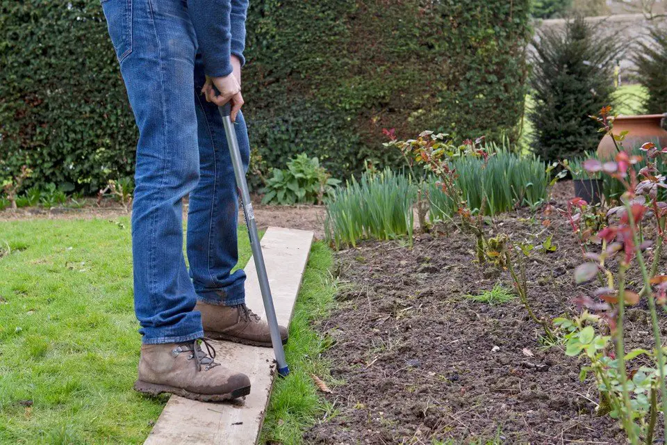 How To Give Your Lawn a Spring Boost