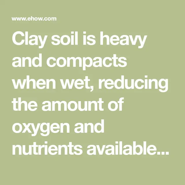 How to Improve a Clay Soil Lawn