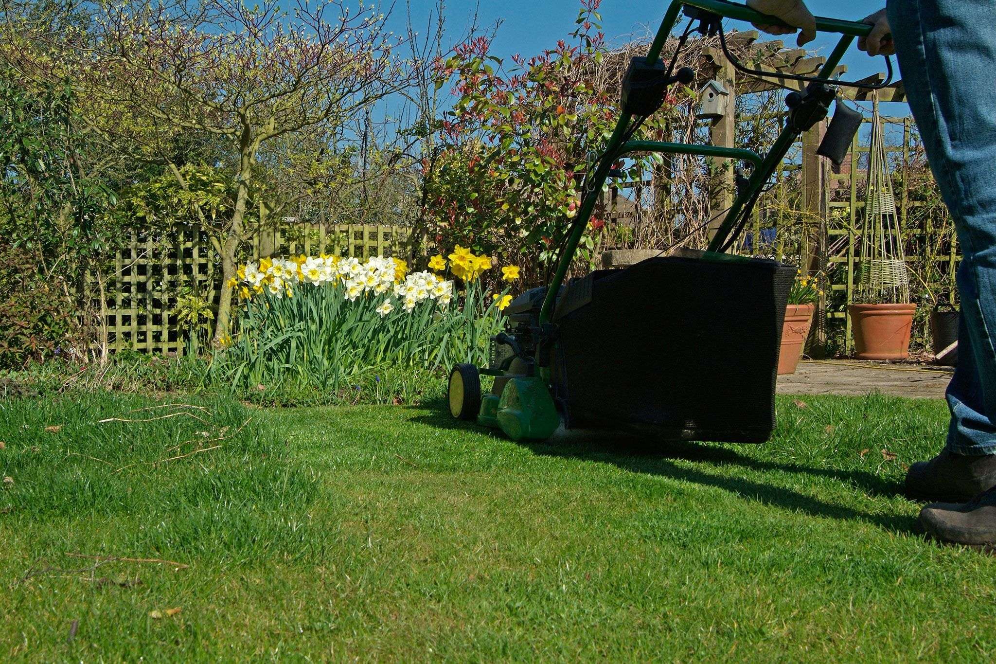 How to improve your lawn in 12 weeks