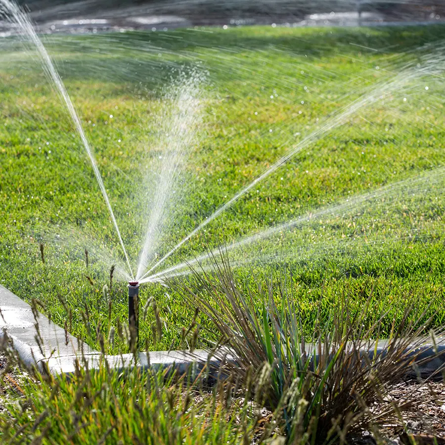 How to Irrigate a Lawn