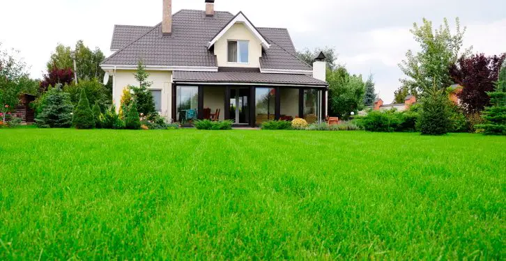 How to keep your lawn green all year round