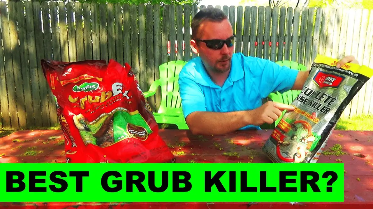 How to kill grubs in your lawn, and How to prevent grubs ...