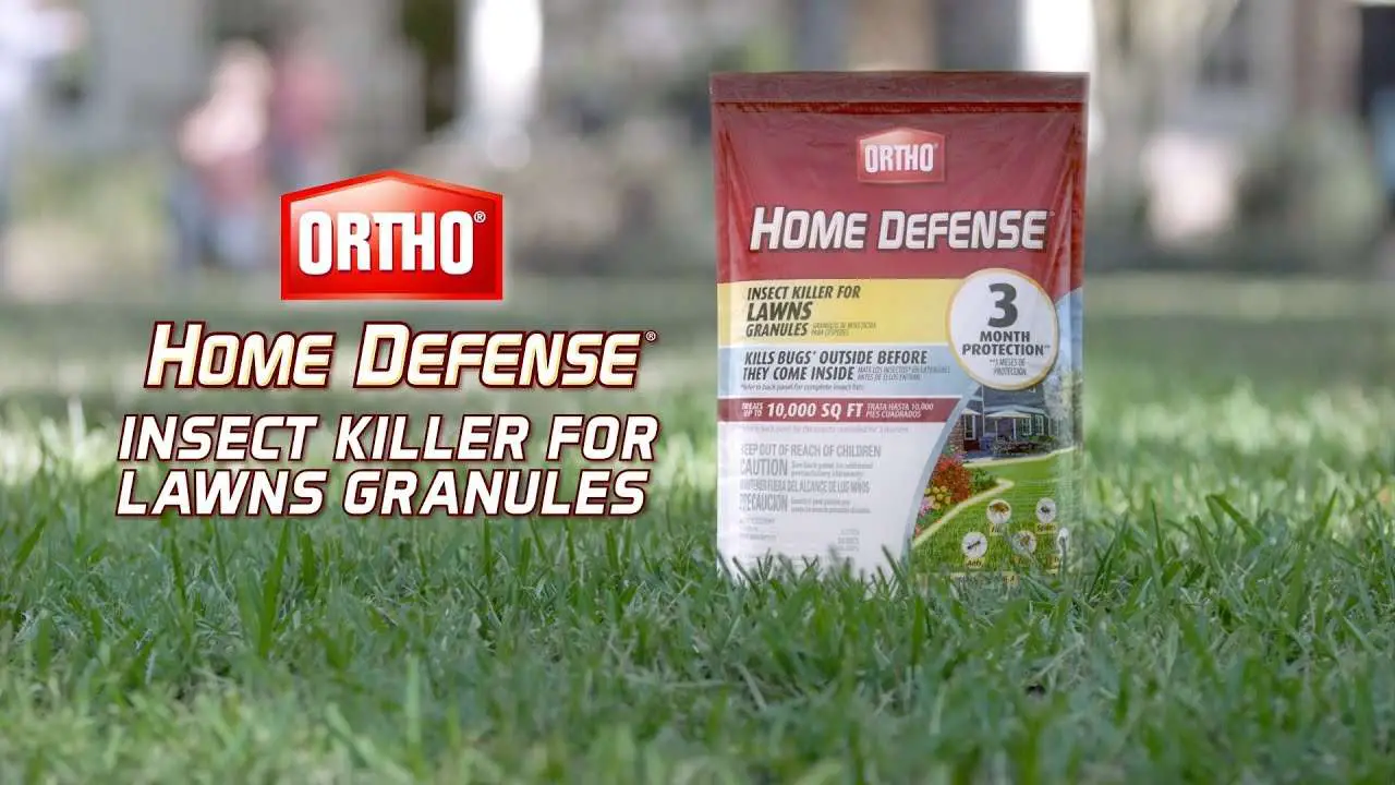 How to Kill Insects in Your Lawn with OrthoÂ® Home Defense Granules ...