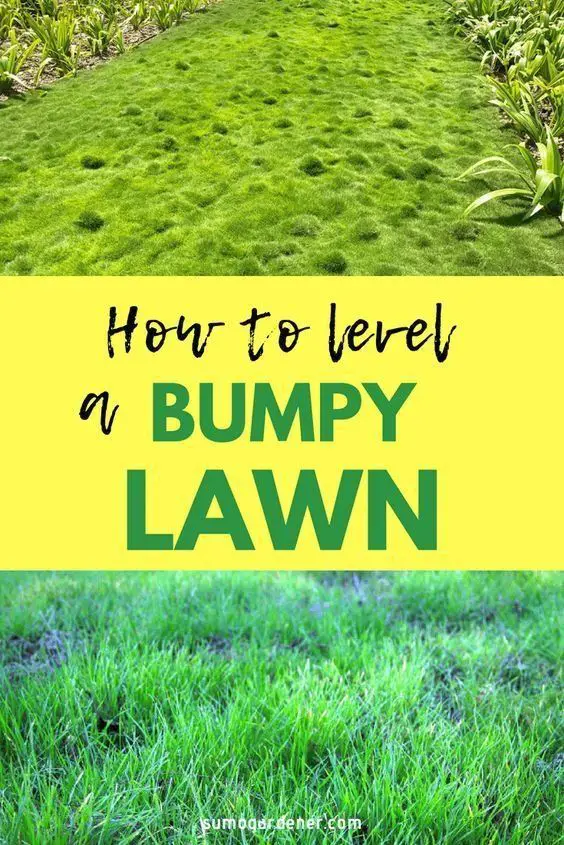 How To Level a Bumpy Lawn