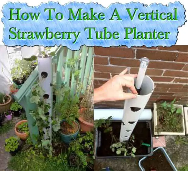 How To Make A Vertical Strawberry Tube Planter