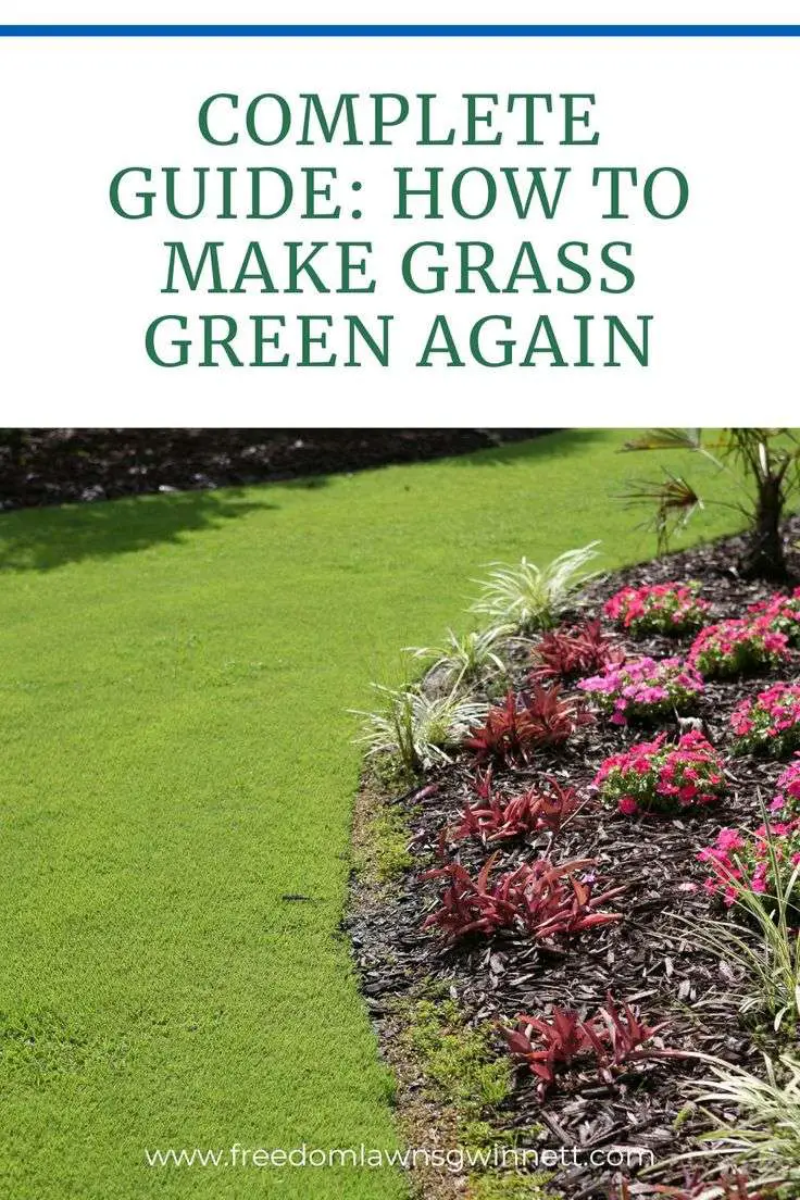 How To Make Grass Green Again