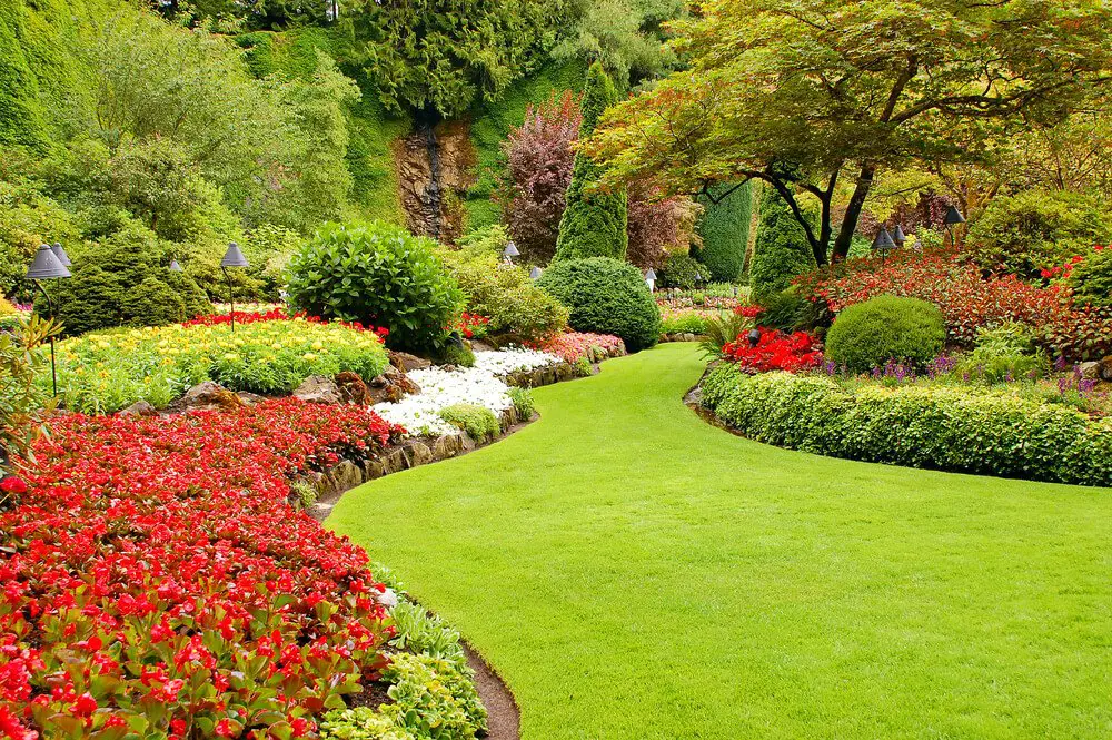How to Make Your Front Yard Look Nice (Answered by a Local ...