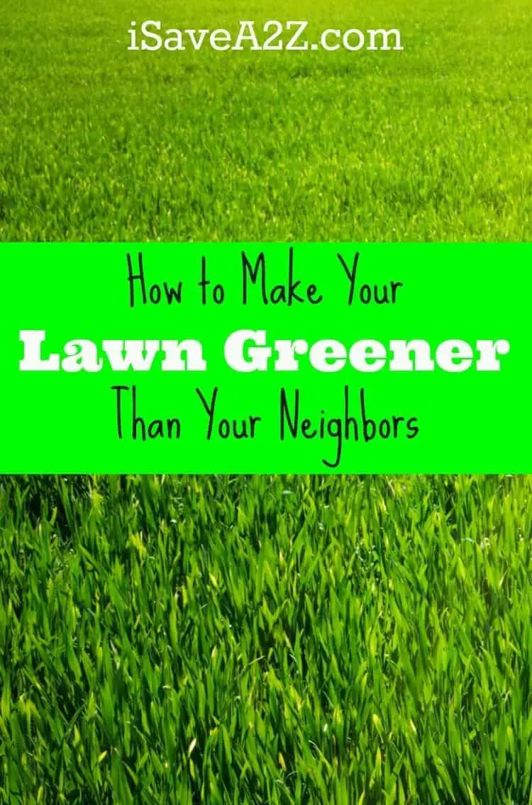 How to Make Your Lawn Greener Than Your Neighbors