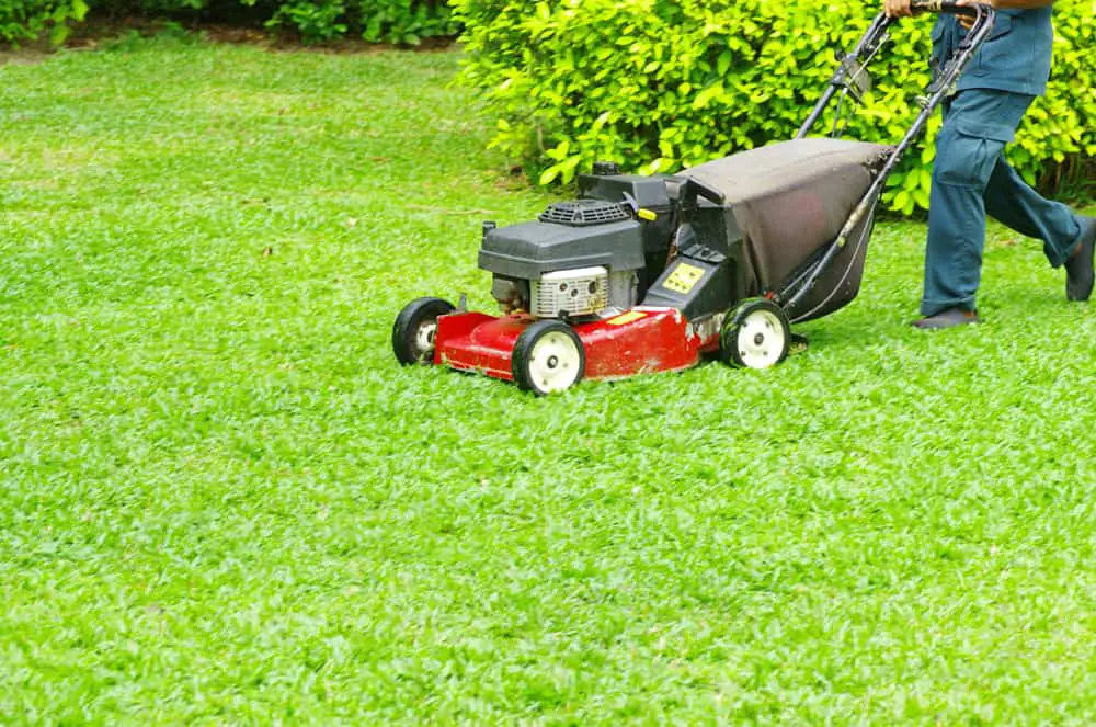 How to Mow a Lawn [2021] Yard Mowing &  Cutting Grass Tips &  Tricks