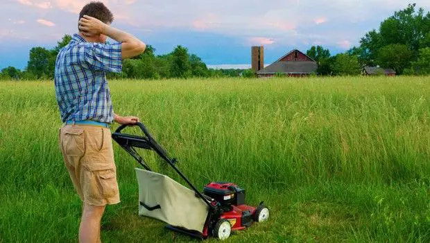 How to Mow in Tall Grass