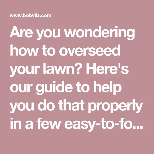 How To: Overseed a Lawn For a Lush, Green Yard