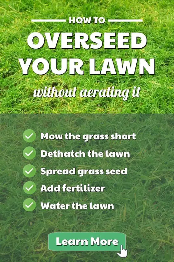 How To Overseed Your Lawn Without Aerating It ...