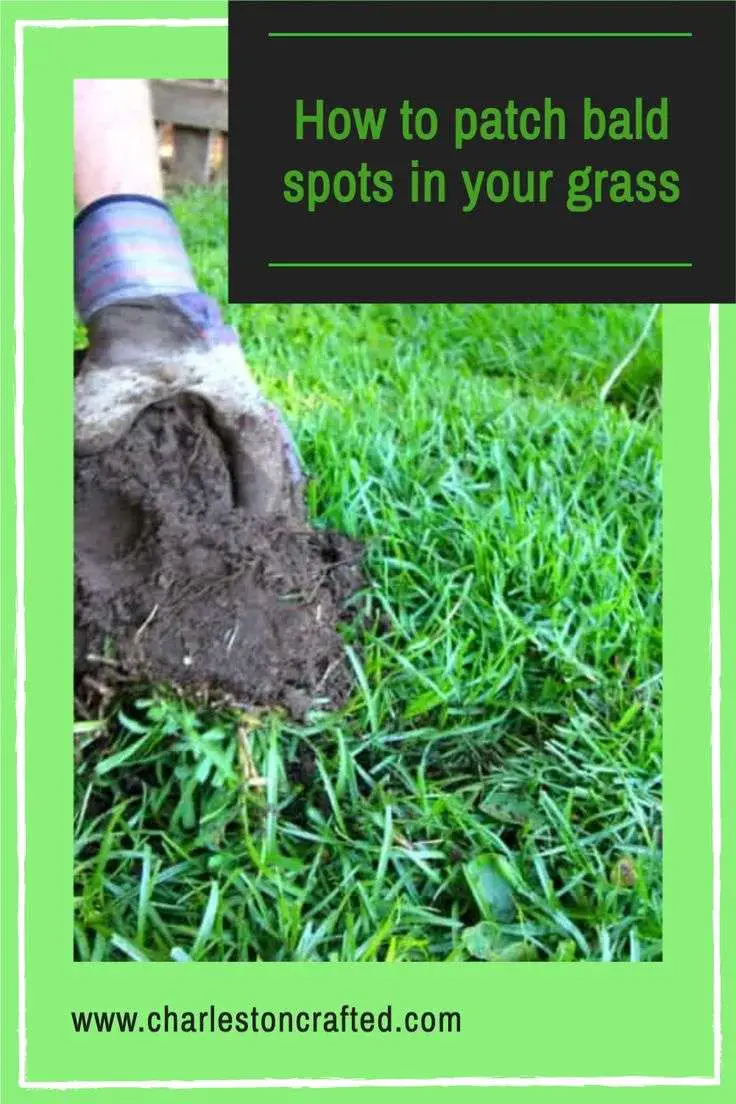 How to patch bare spots in your grass in 2021