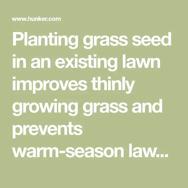 How to Plant Grass Seed in an Existing Lawn
