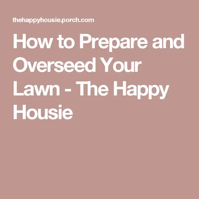 How To Prep A Lawn For Overseeding / How to Overseed or Reseed Your ...