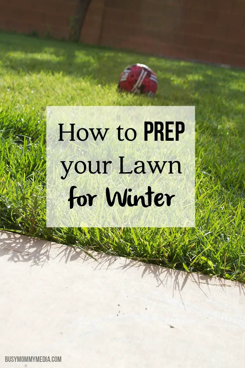 How to Prep your Lawn for Winter