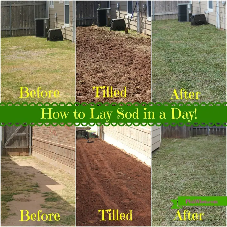 How To Put Down Sod Yourself