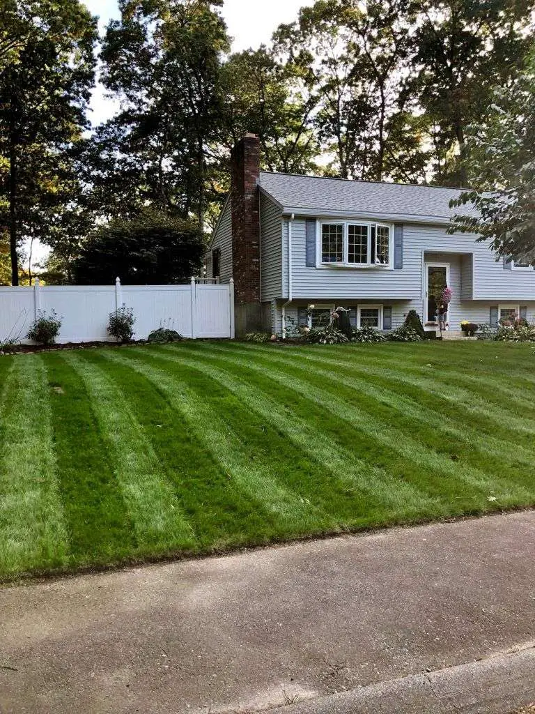How To Renovate Your Lawn