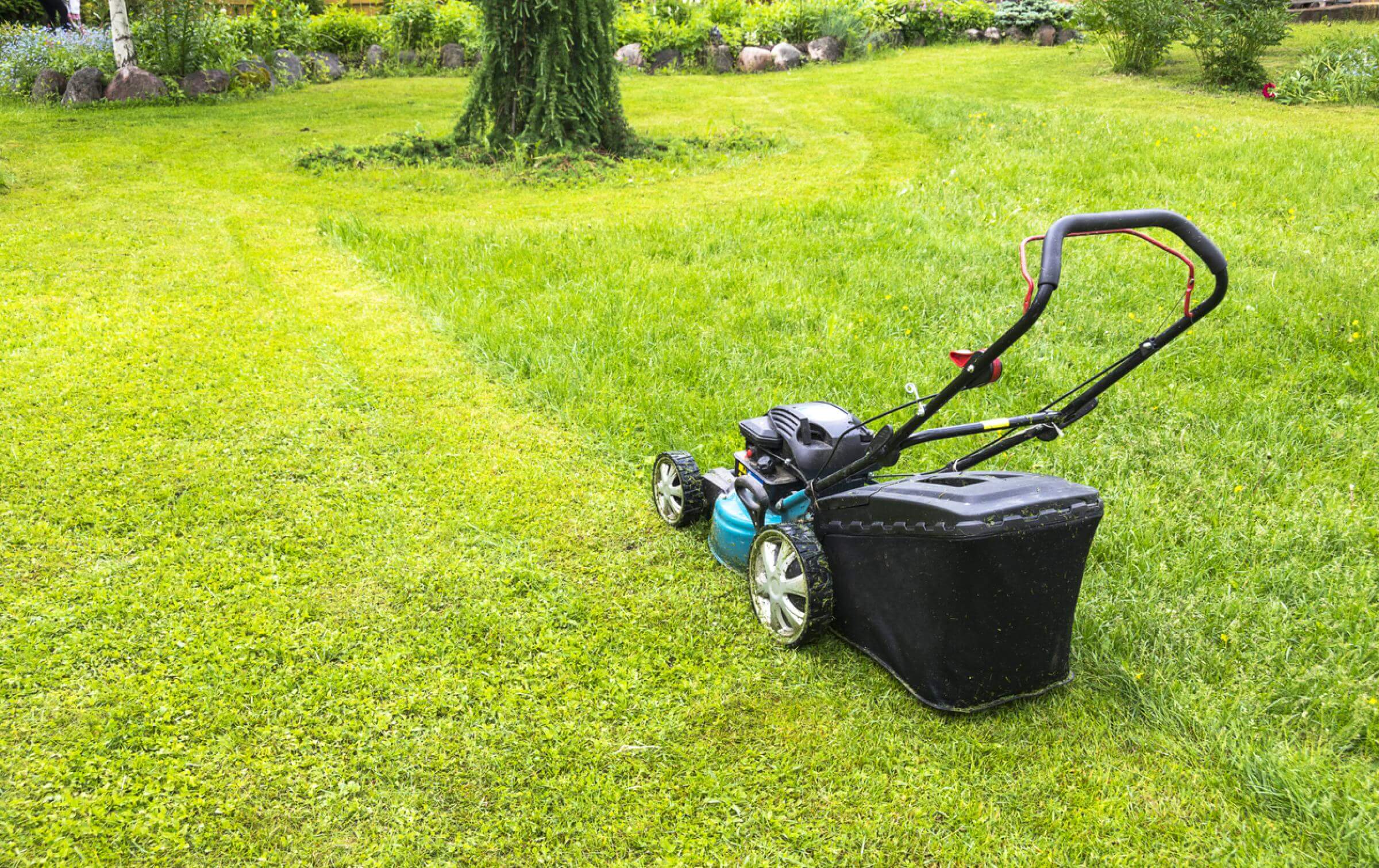 How To Repair And Prevent A âScalpedâ? Lawn