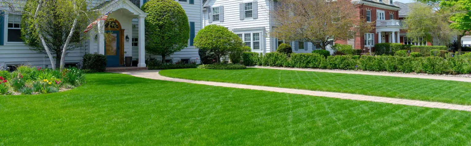 How to Repair Bald Spots in Your Lawn