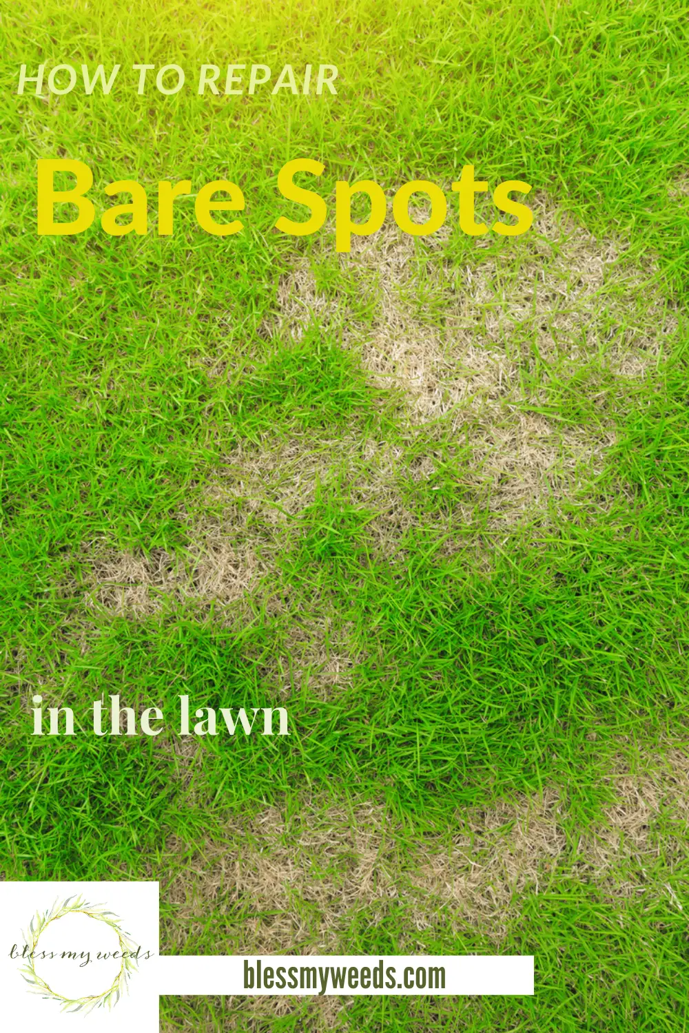 How To Repair Bare Spots In The Lawn {For Good} ~ Bless My Weeds