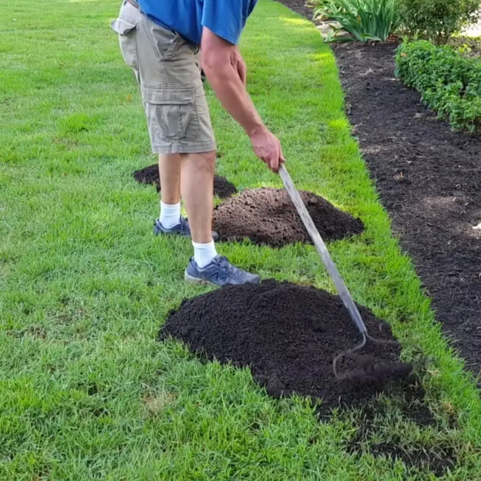 How To Repair Bare Spots in Your Lawn with the ProPluggger (with video ...