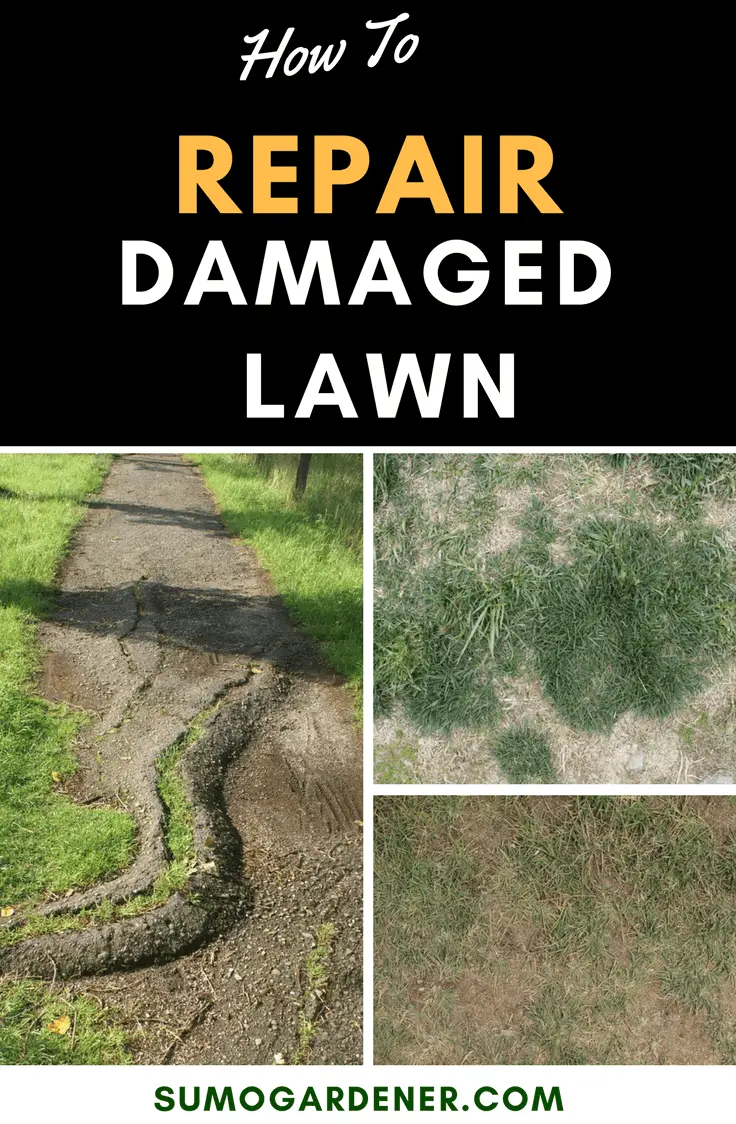 How to Repair Damaged Lawn
