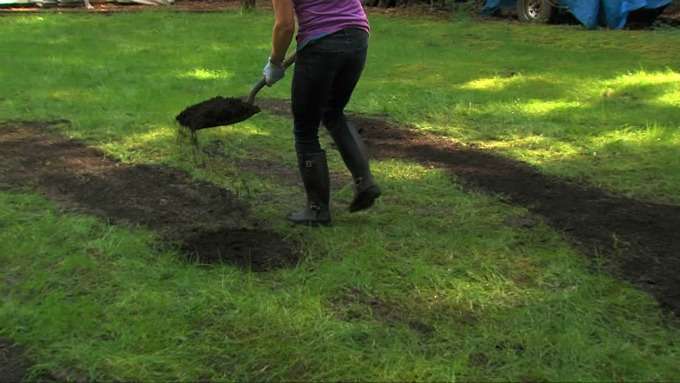 How To Reseed Bare Patches in a Lawn