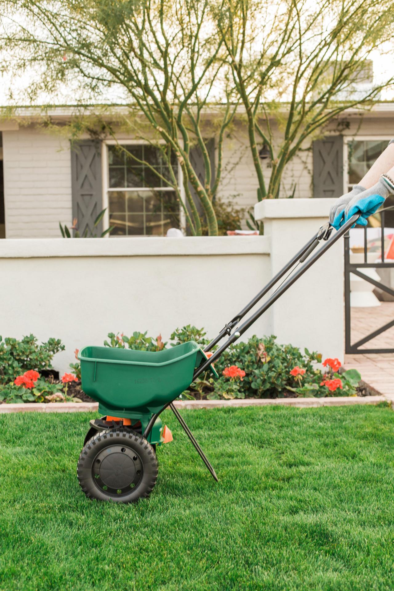 How to Seed Your Lawn This Winter