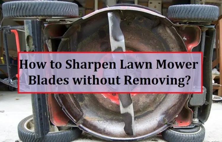 How to Sharpen Lawn Mower Blades without Removing?