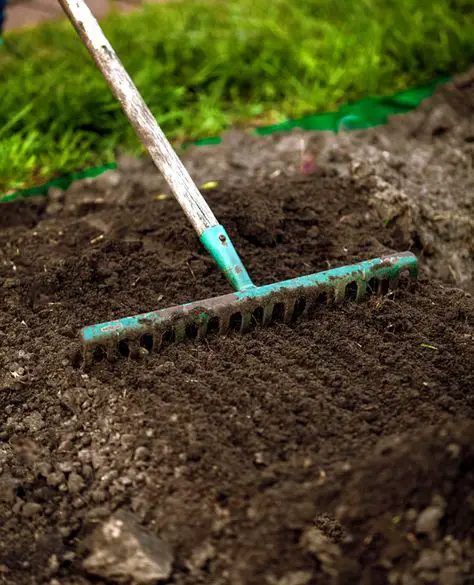 How to start a New Lawn from the seed