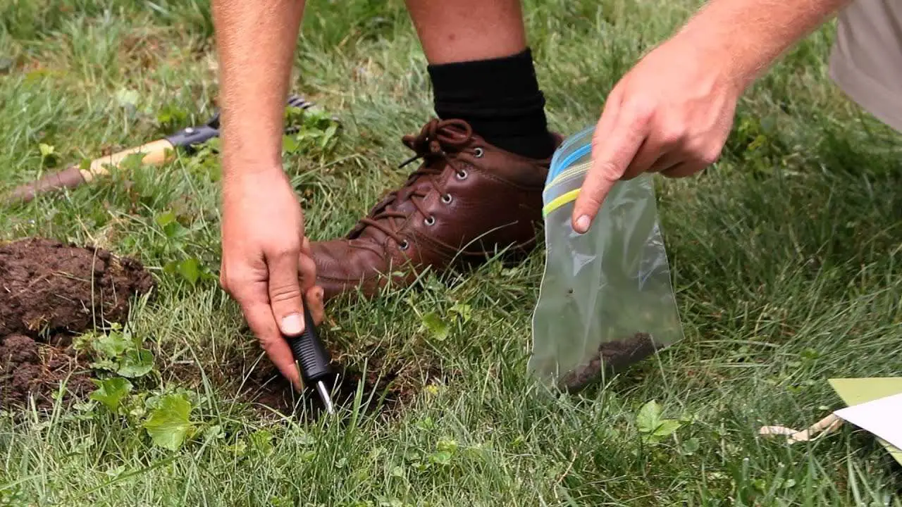 How to Take a Soil Test