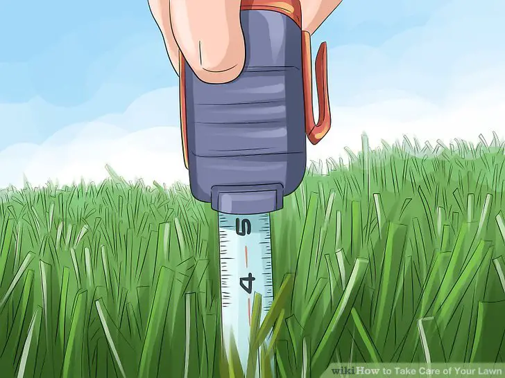 How to Take Care of Your Lawn