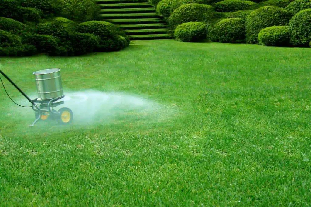 How To Tell If Your Lawn Needs Lime [7 Ways]