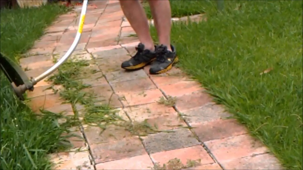 HOW TO TRIM YOUR EDGES USING VICTA LAWN TRIMMER